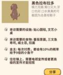 动物餐厅黑色拉布拉多怎么招揽