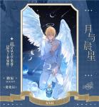 时空中的绘旅人路辰月与晨星怎么样 卡面技能介绍