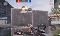 1557455030792.jpg