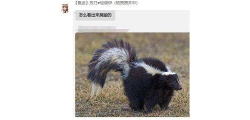公主连接