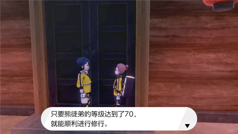 精灵宝可梦剑盾