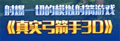 真实弓箭手3D单机版