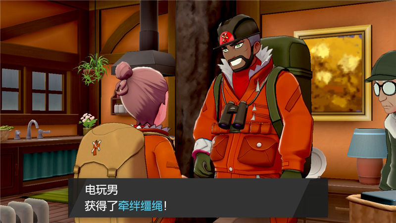 精灵宝可梦剑盾