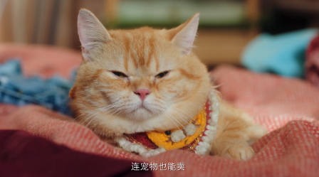 《魔力宝贝:旅人》公测倒计时2天,与阿sa一起穿越法兰做生意!