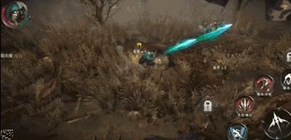 5d19ad3d9901e.jpg