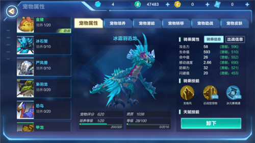 我的起源