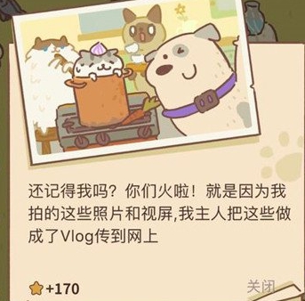 动物餐厅