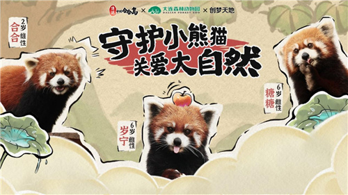 《传说中的合合岛》认养濒危小熊猫，用游戏传播公益正能量