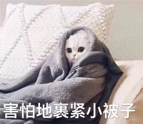 新戏是高能不断恐怖片,也就绝对演绎里演技好的她敢接!