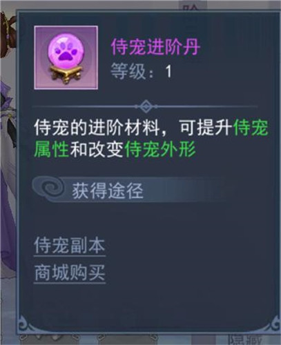 助你提升战力《奇迹仙侠》之侍宠介绍