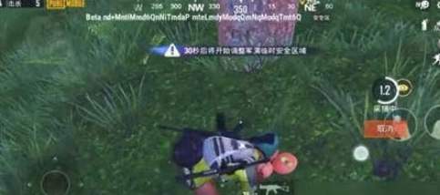和平精英