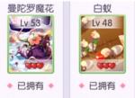 天天打波利宠物培养优先度排名
