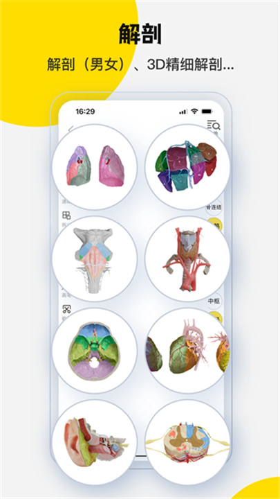 3dbody解剖最新版截图